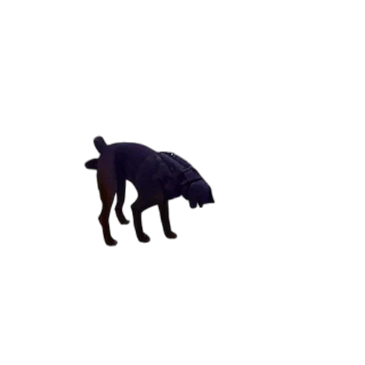 animal, creature, dragon, umbrella transparent PNG cut-out