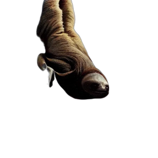 animal, creature, staff, dragon, concept art, photorealistic, 3d render, fantasy art transparent PNG cut-out
