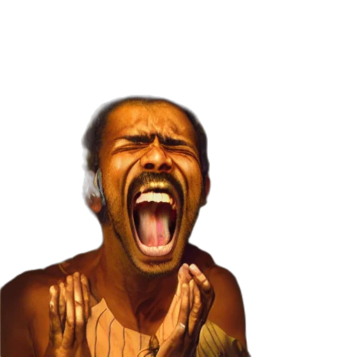 face, animal, staff, hair transparent PNG cut-out