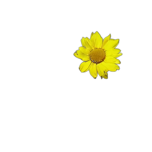 flower, crown, jewelry, weapon transparent PNG cut-out