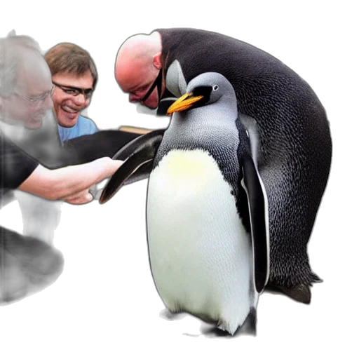 animal, staff, fire, linus, torvalds, petting, penguin transparent PNG cut-out