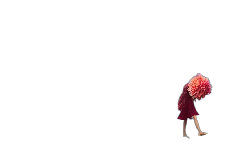 umbrella, flower, dress, creature, 3d render, concept art, pixel art, anime transparent PNG cut-out