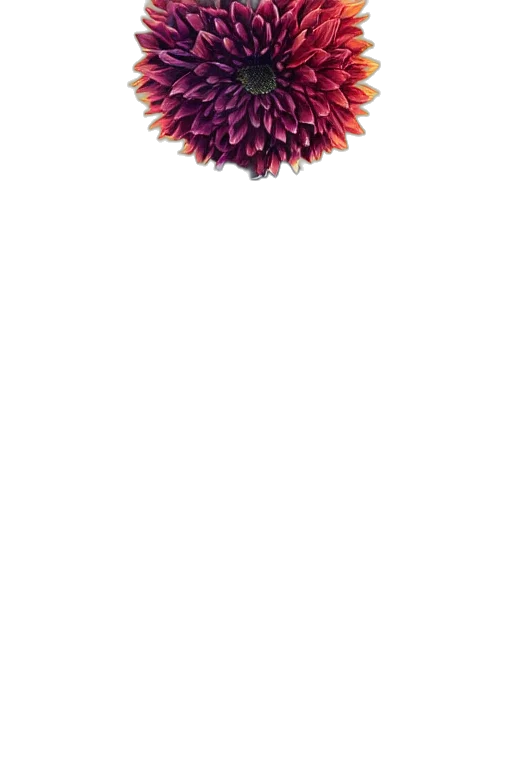 flower, hair, crown, jewelry, pixel art, watercolor, 3d render, photorealistic transparent PNG cut-out