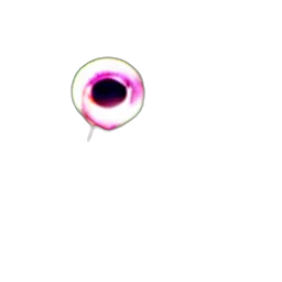 staff, face, jewelry, flower, 3d render, pixel art, concept art, photorealistic transparent PNG cut-out