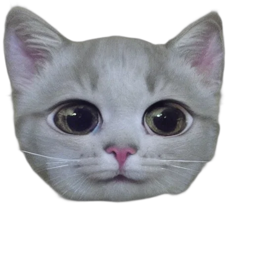 face, mask, animal, creature transparent PNG cut-out