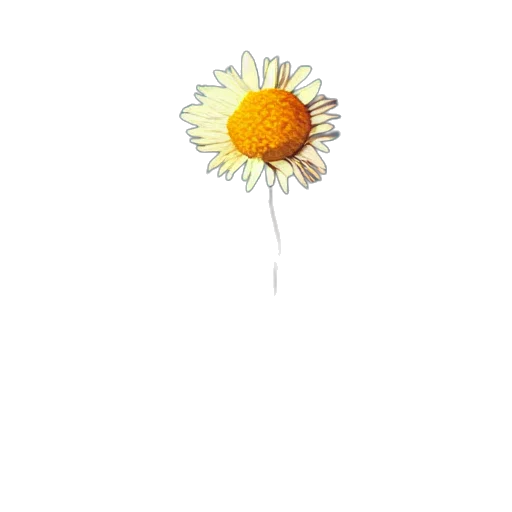 flower, staff, crown, jewelry, 3d render, photorealistic, watercolor, pixel art transparent PNG cut-out