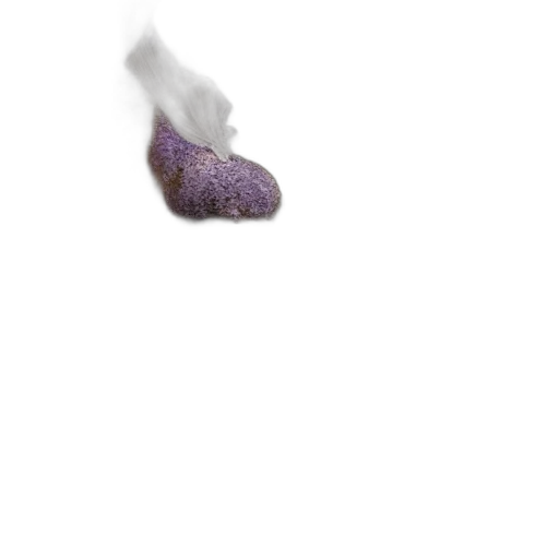 shoes, food, hat, hair transparent PNG cut-out