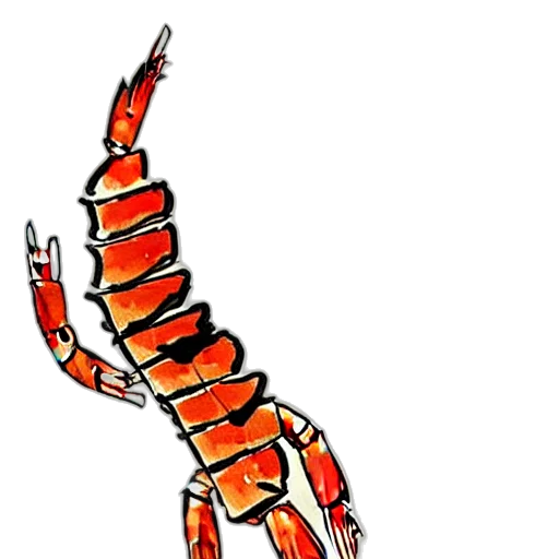 animal, creature, dragon, staff transparent PNG cut-out