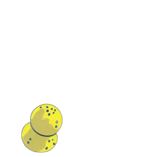 hat, food, creature, animal transparent PNG cut-out