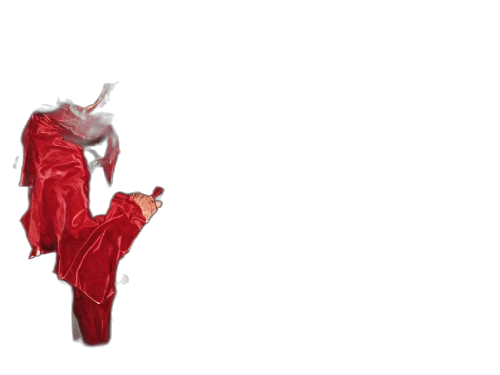 dragon, shoes, mask, creature, concept art, pixel art, 3d render, photorealistic transparent PNG cut-out
