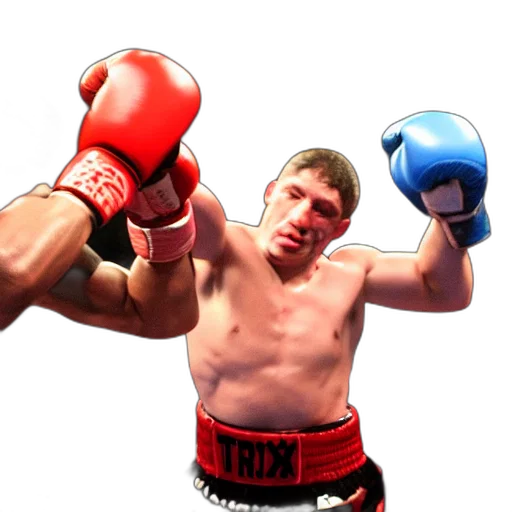 rex, boxing, match transparent PNG cut-out