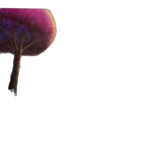 hat, umbrella, furniture, hair transparent PNG cut-out