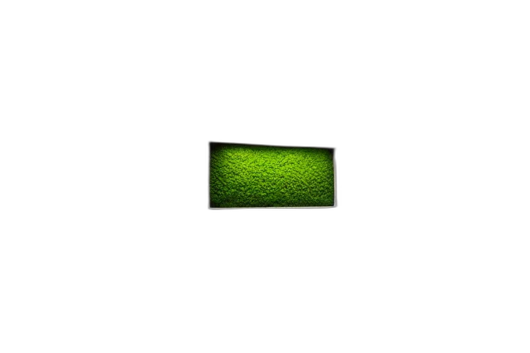 bottle, food, jewelry, tree, 3d render, pixel art, photorealistic, concept art transparent PNG cut-out