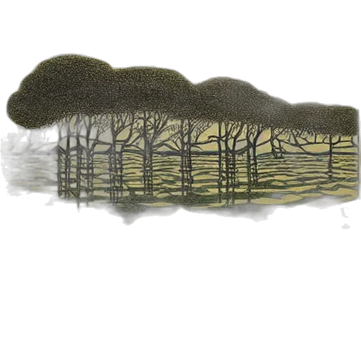 tree, crown, hair, concept art transparent PNG cut-out