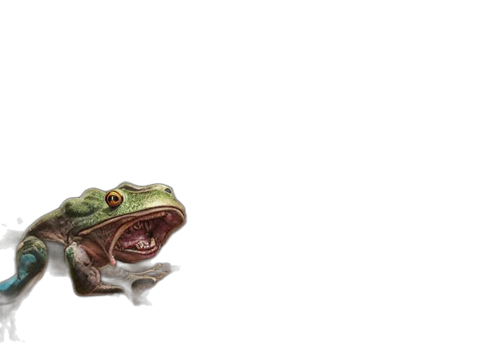 creature, animal, dragon, shoes, 3d render, concept art, photorealistic, watercolor transparent PNG cut-out