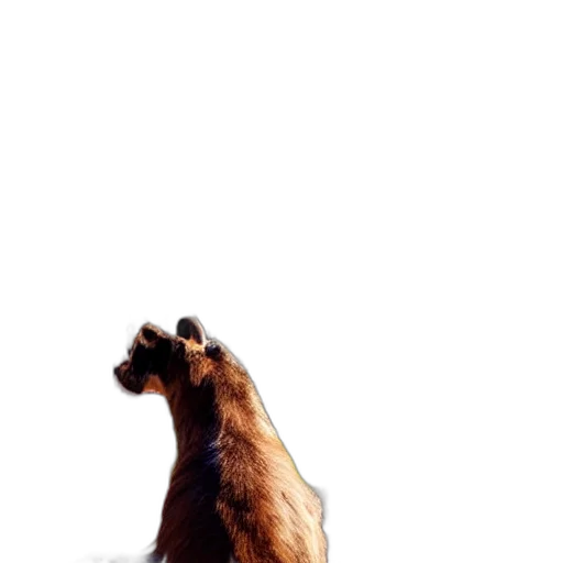 animal, creature, hair, dress, photorealistic, 3d render, concept art, outer space transparent PNG cut-out