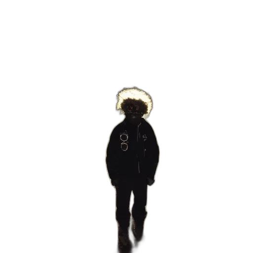 hat, jacket, mask, hair transparent PNG cut-out