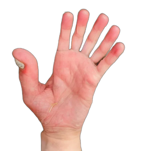 creature, face, hair, jewelry, 3d render, photorealistic, hand, five transparent PNG cut-out