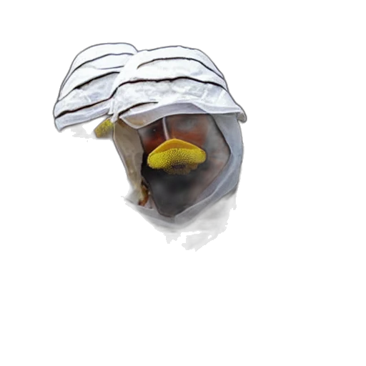 jewelry, crown, mask, hat, 3d render, photorealistic, concept art, oil painting transparent PNG cut-out