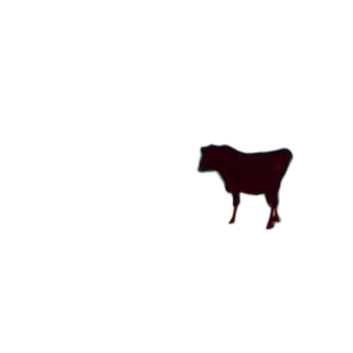 animal, food, creature, weapon transparent PNG cut-out