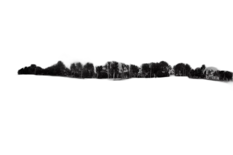 building, tree, hair, staff, concept art, photorealistic, pencil sketch, 3d render transparent PNG cut-out
