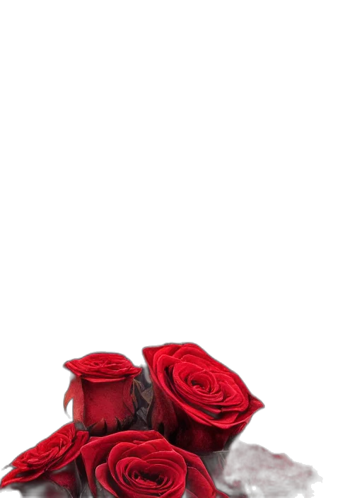 shoes, flower, crown, hat transparent PNG cut-out