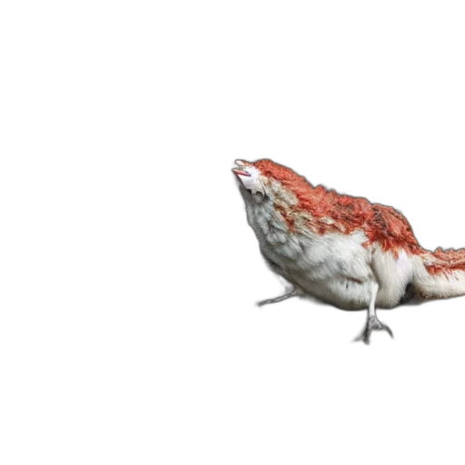 animal, dragon, creature, hat, 3d render, concept art, photorealistic, pixel art transparent PNG cut-out