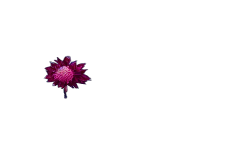 flower, crown, umbrella, jewelry, pixel art, 3d render, photorealistic, vaporwave transparent PNG cut-out