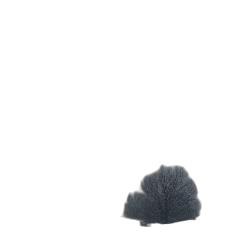 hat, hair, crown, animal, 3d render, concept art, photorealistic, pixel art transparent PNG cut-out