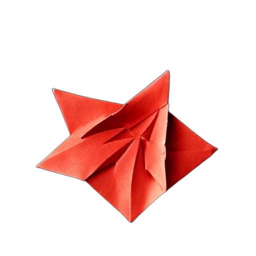 umbrella, flower, hat, crown transparent PNG cut-out