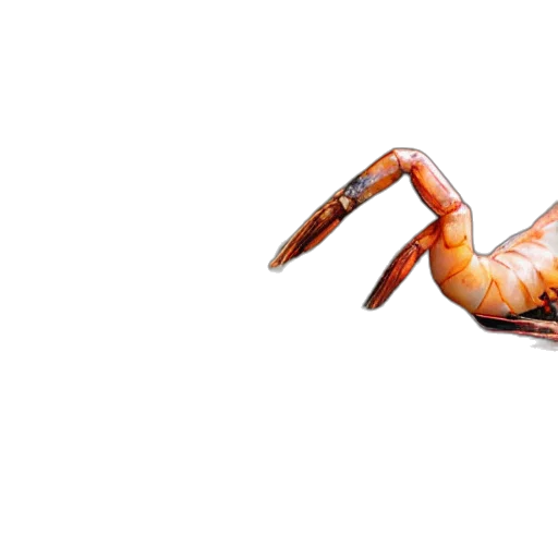 animal, food, creature, weapon, 3d render, photorealistic, concept art, family transparent PNG cut-out