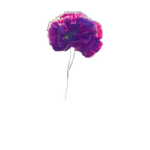 flower, umbrella, crown, hat transparent PNG cut-out