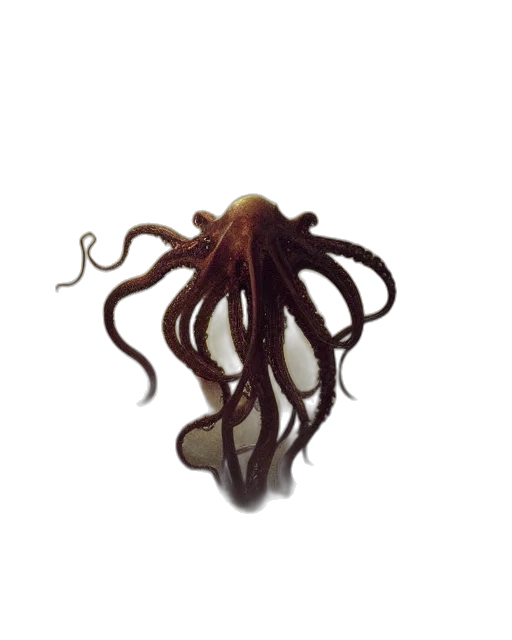 hair, creature, staff, animal, concept art, 3d render, photorealistic, pixel art transparent PNG cut-out