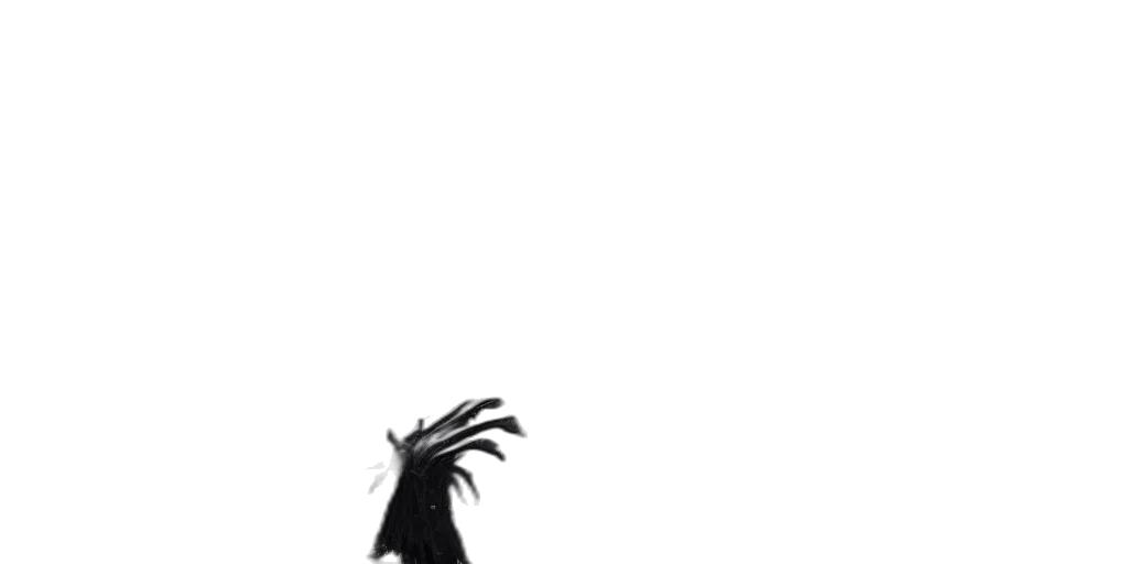 hair, dragon, creature, mask transparent PNG cut-out