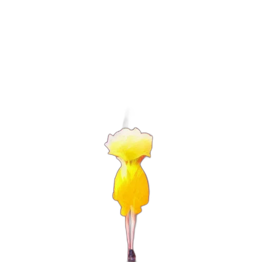 staff, umbrella, flower, hat transparent PNG cut-out