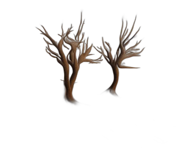 tree, crown, hair, furniture transparent PNG cut-out