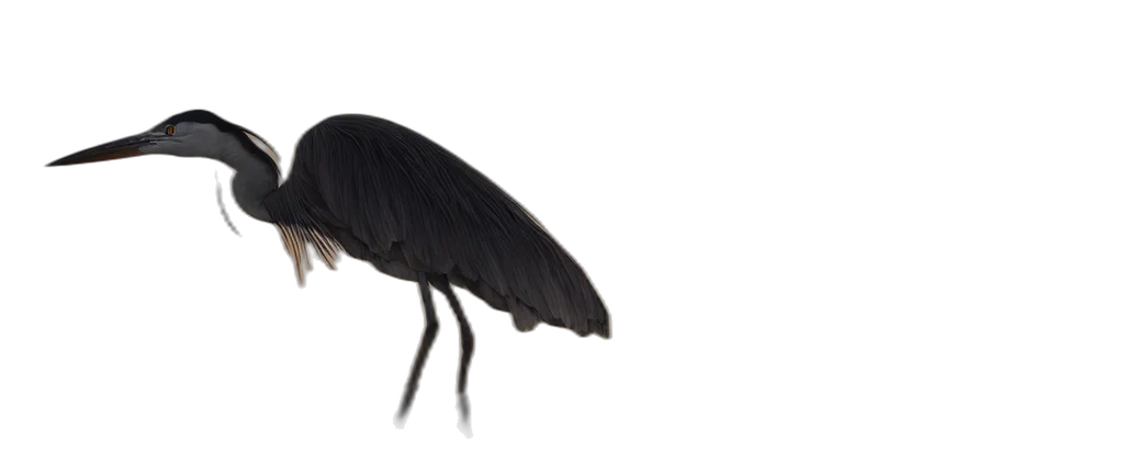 animal, creature, hair, umbrella, concept art, photorealistic, 3d render, dark transparent PNG cut-out
