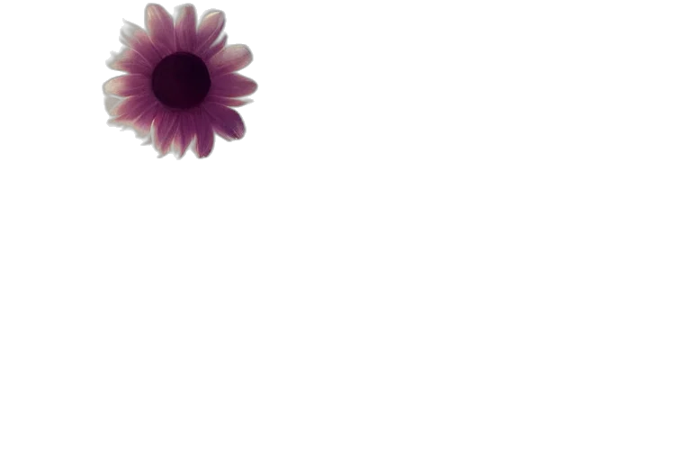 flower, crown, dress, jewelry transparent PNG cut-out