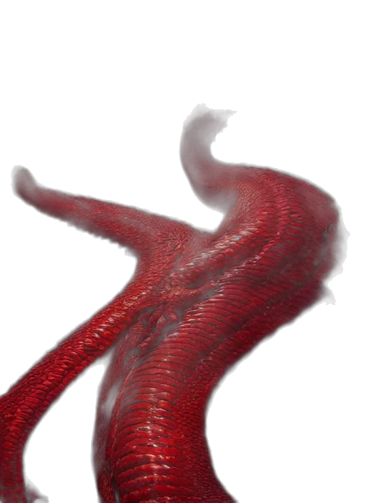 dragon, creature, hair, animal, 3d render, concept art, photorealistic, fantasy art transparent PNG cut-out