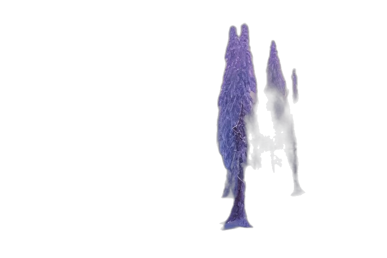 creature, dragon, animal, hair transparent PNG cut-out