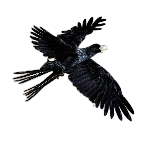 animal, staff, jewelry, creature transparent PNG cut-out