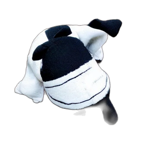 hat, mask, animal, creature transparent PNG cut-out