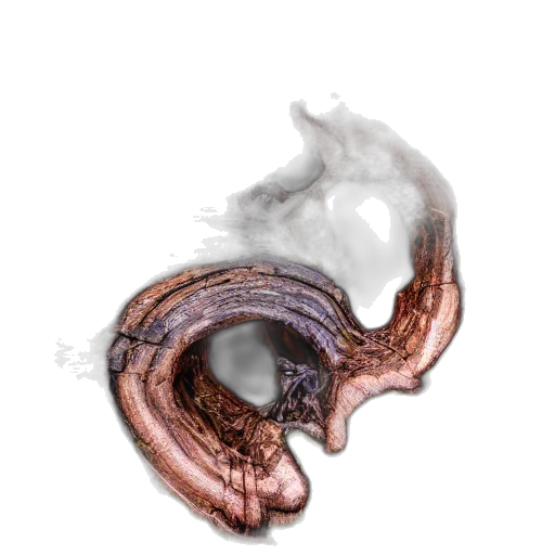 dragon, mask, hair, creature transparent PNG cut-out