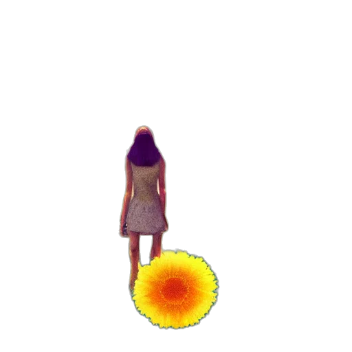 flower, umbrella, hair, dress transparent PNG cut-out