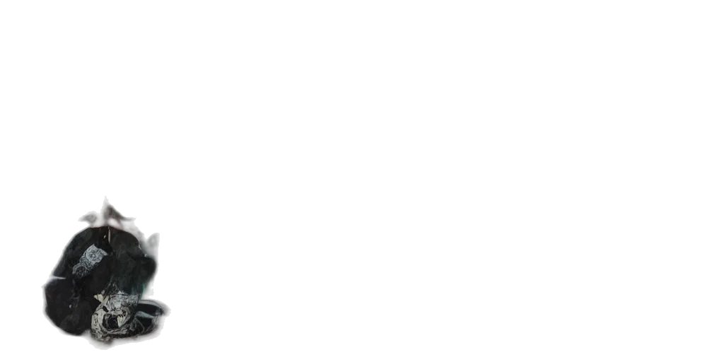 staff, face, monochrome, pastel, things, artists, looking, furure transparent PNG cut-out