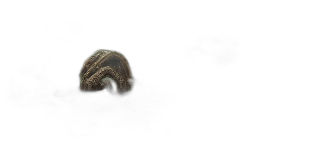 hair, creature, animal, hat, 3d render, photorealistic, concept art, fantasy art transparent PNG cut-out