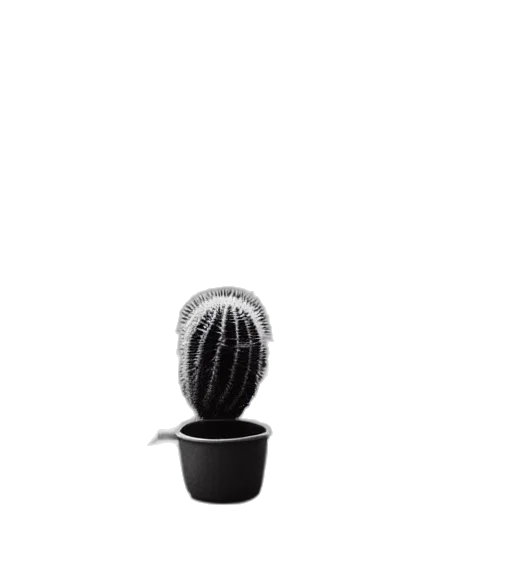 hat, flower, staff, bottle, 3d render, photorealistic, concept art, outer space transparent PNG cut-out