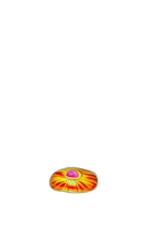 flower, jewelry, umbrella, food transparent PNG cut-out