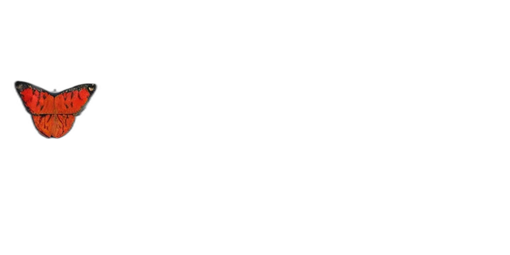 staff, face, monochrome, pastel transparent PNG cut-out