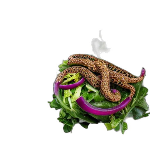 food, animal, creature, hair transparent PNG cut-out